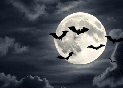 Scary Stories from The Dark Side of Archival