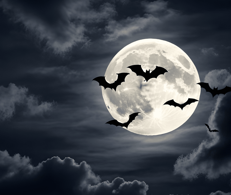 Scary Stories from The Dark Side of Archival